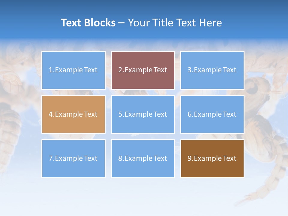 Sucking Insect Fauna PowerPoint Template