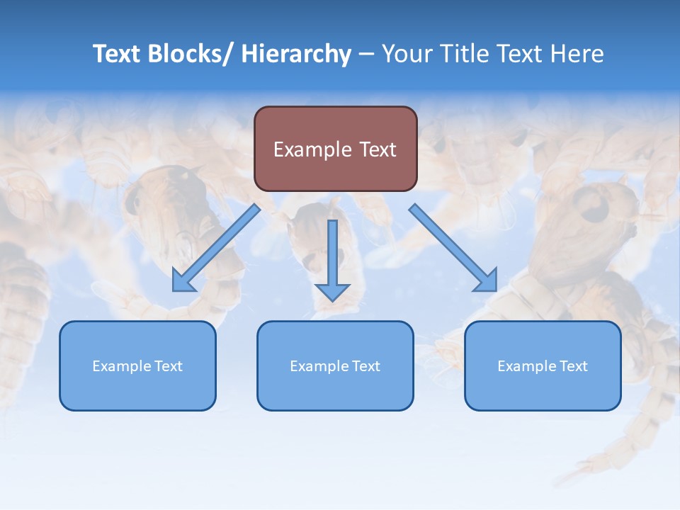 Sucking Insect Fauna PowerPoint Template