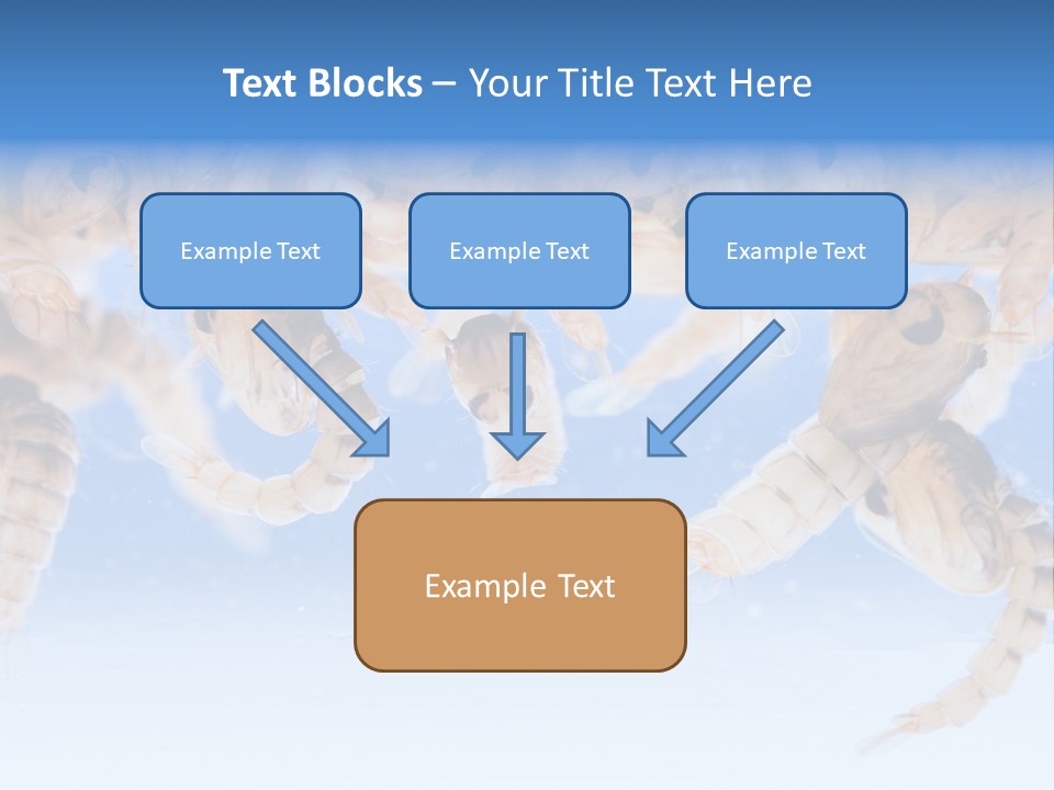 Sucking Insect Fauna PowerPoint Template