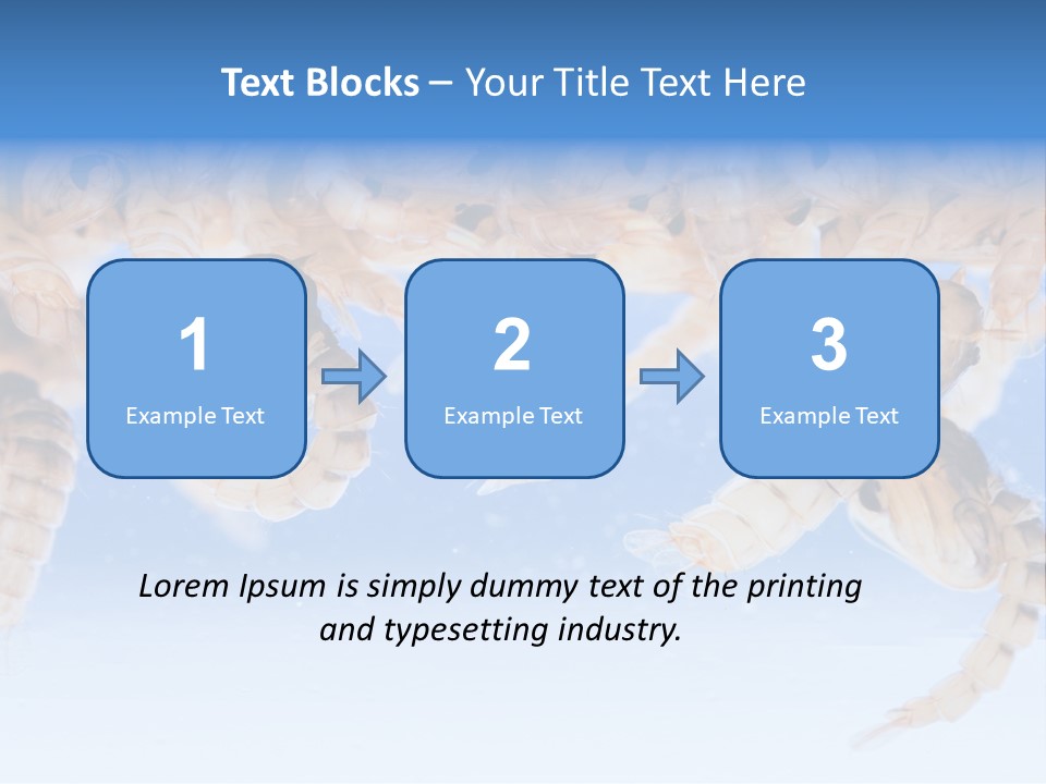 Sucking Insect Fauna PowerPoint Template