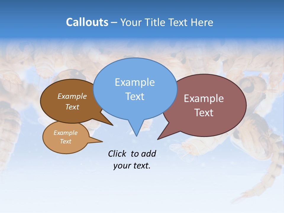 Sucking Insect Fauna PowerPoint Template
