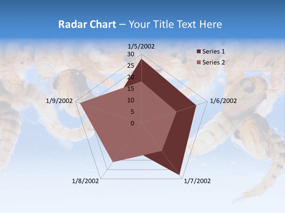 Sucking Insect Fauna PowerPoint Template