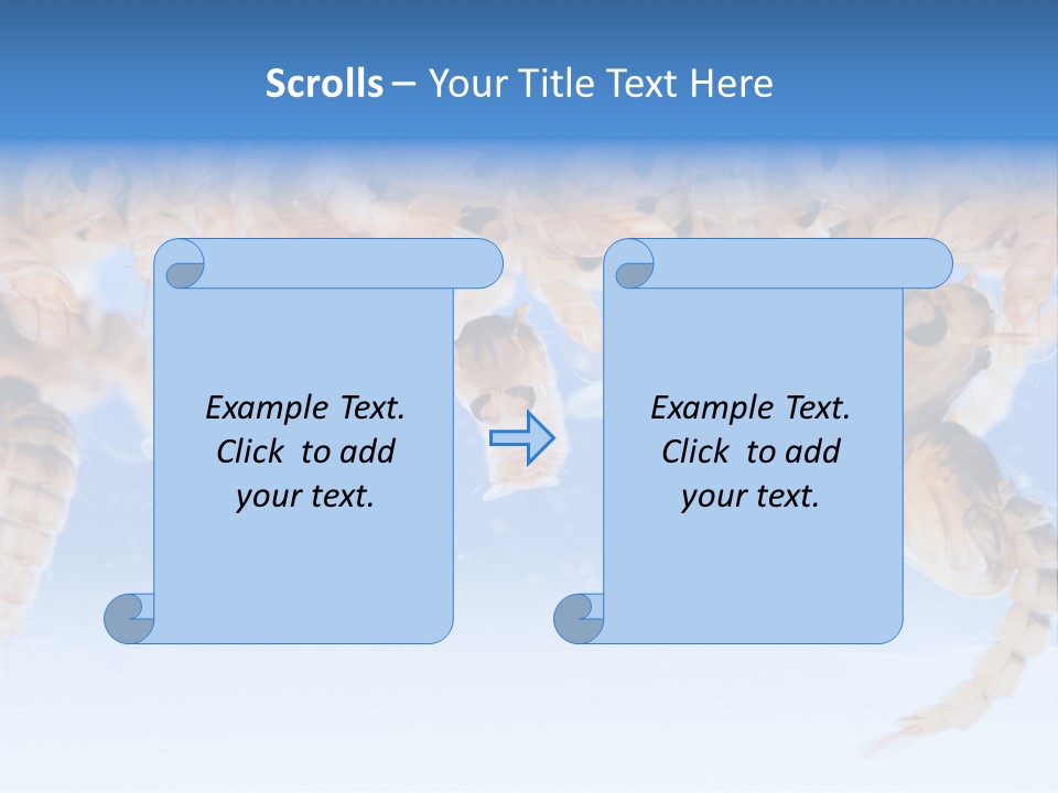 Sucking Insect Fauna PowerPoint Template