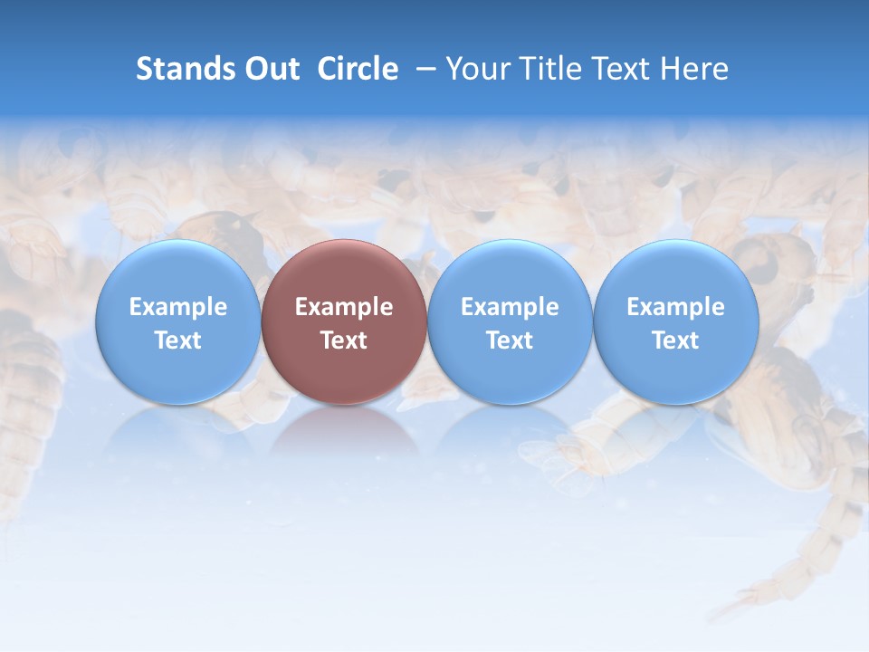 Sucking Insect Fauna PowerPoint Template