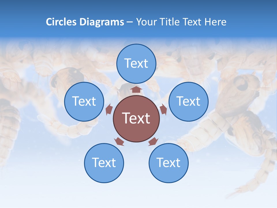 Sucking Insect Fauna PowerPoint Template