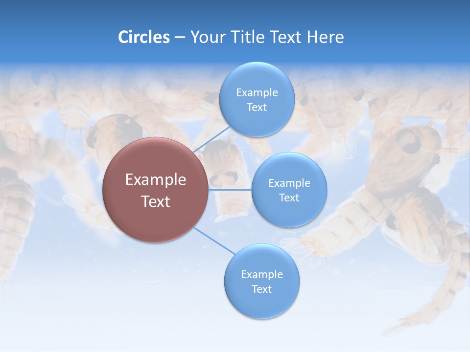 Sucking Insect Fauna PowerPoint Template