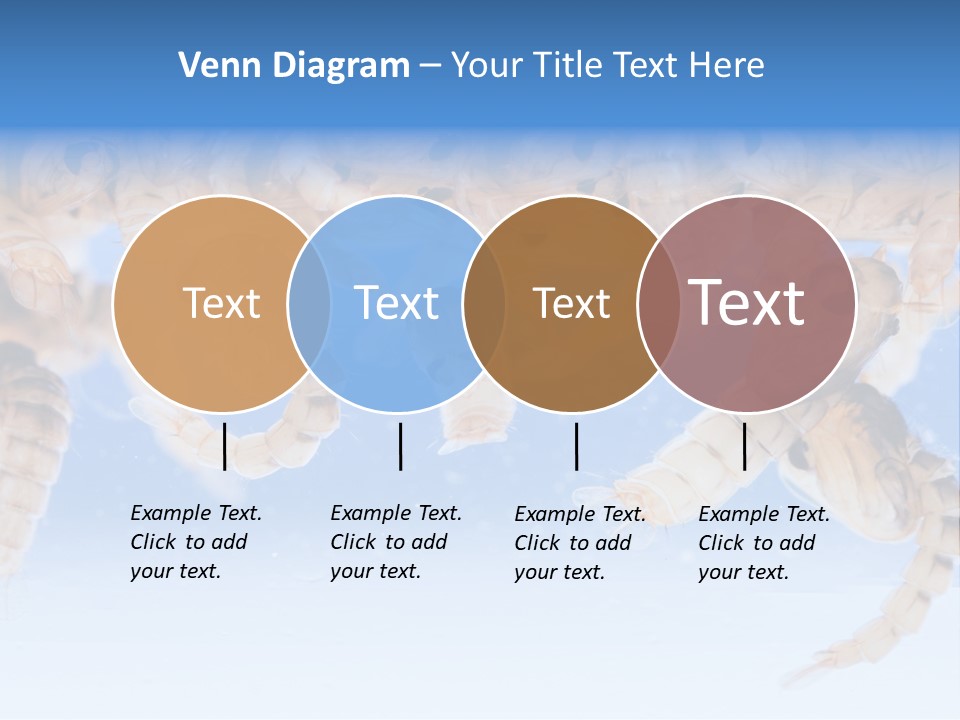 Sucking Insect Fauna PowerPoint Template