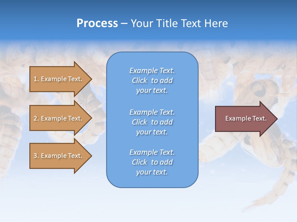 Sucking Insect Fauna PowerPoint Template