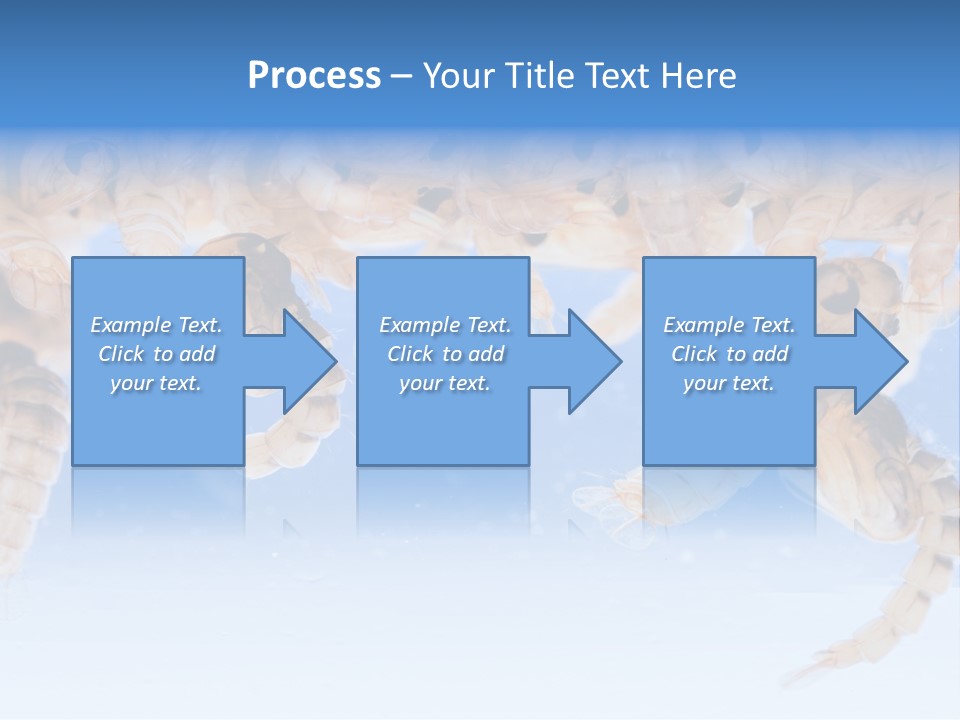 Sucking Insect Fauna PowerPoint Template