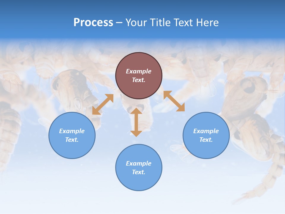Sucking Insect Fauna PowerPoint Template