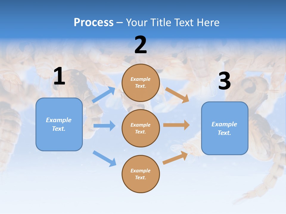 Sucking Insect Fauna PowerPoint Template