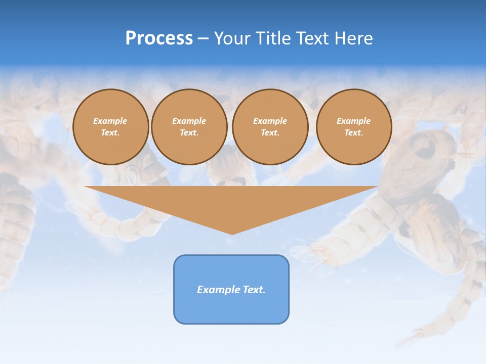 Sucking Insect Fauna PowerPoint Template