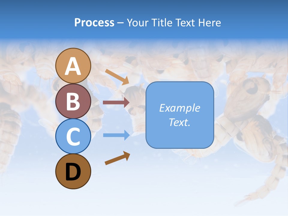 Sucking Insect Fauna PowerPoint Template