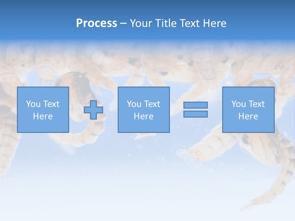 Sucking Insect Fauna PowerPoint Template