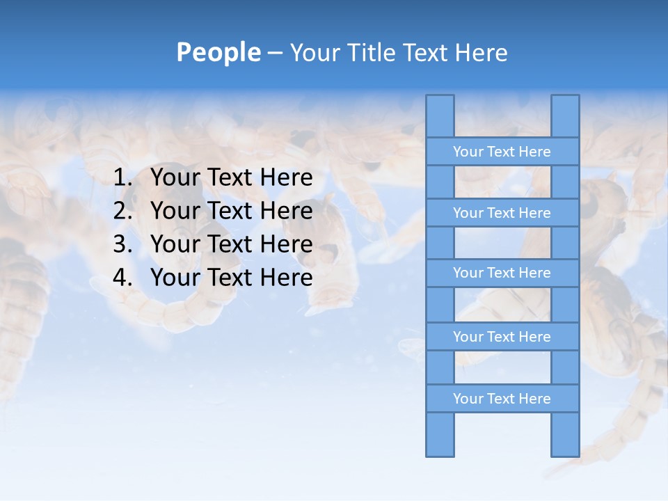 Sucking Insect Fauna PowerPoint Template