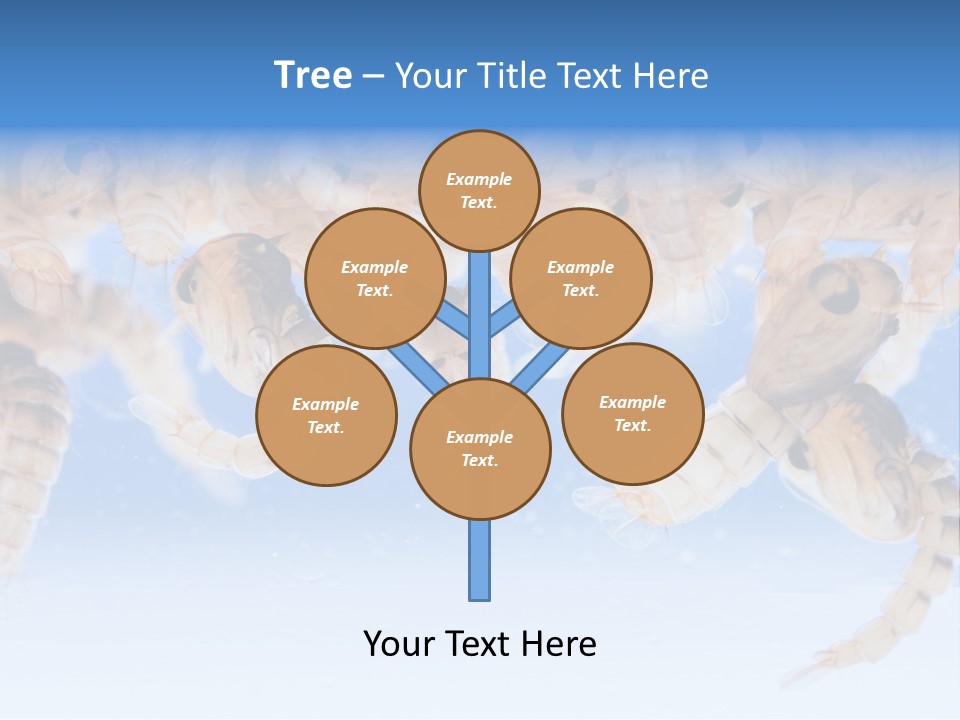 Sucking Insect Fauna PowerPoint Template