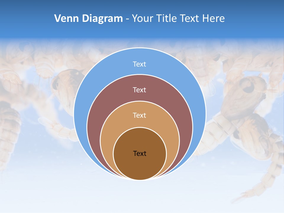 Sucking Insect Fauna PowerPoint Template