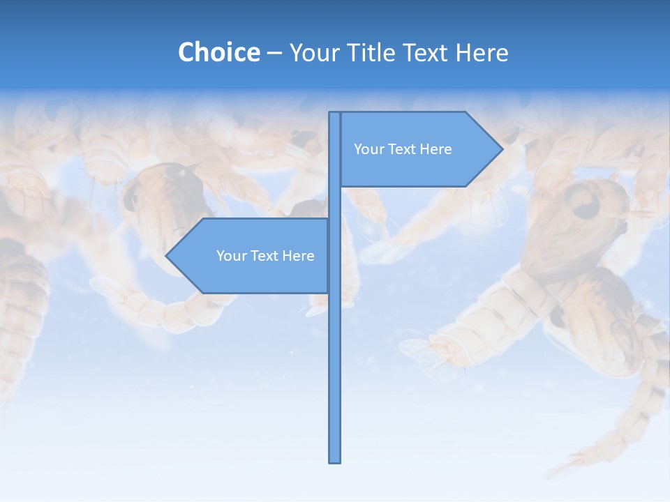 Sucking Insect Fauna PowerPoint Template