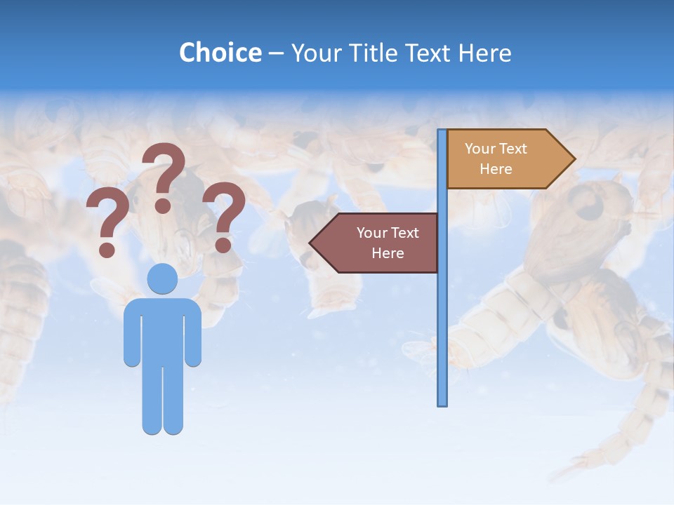 Sucking Insect Fauna PowerPoint Template