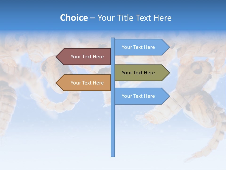 Sucking Insect Fauna PowerPoint Template