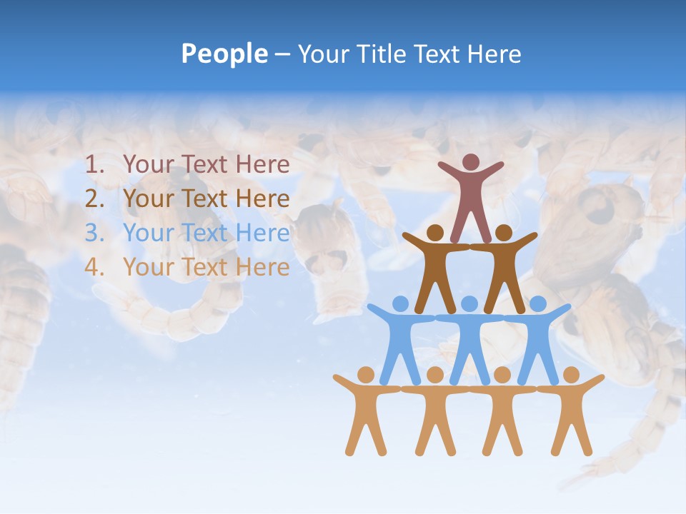 Sucking Insect Fauna PowerPoint Template