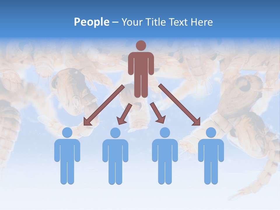 Sucking Insect Fauna PowerPoint Template