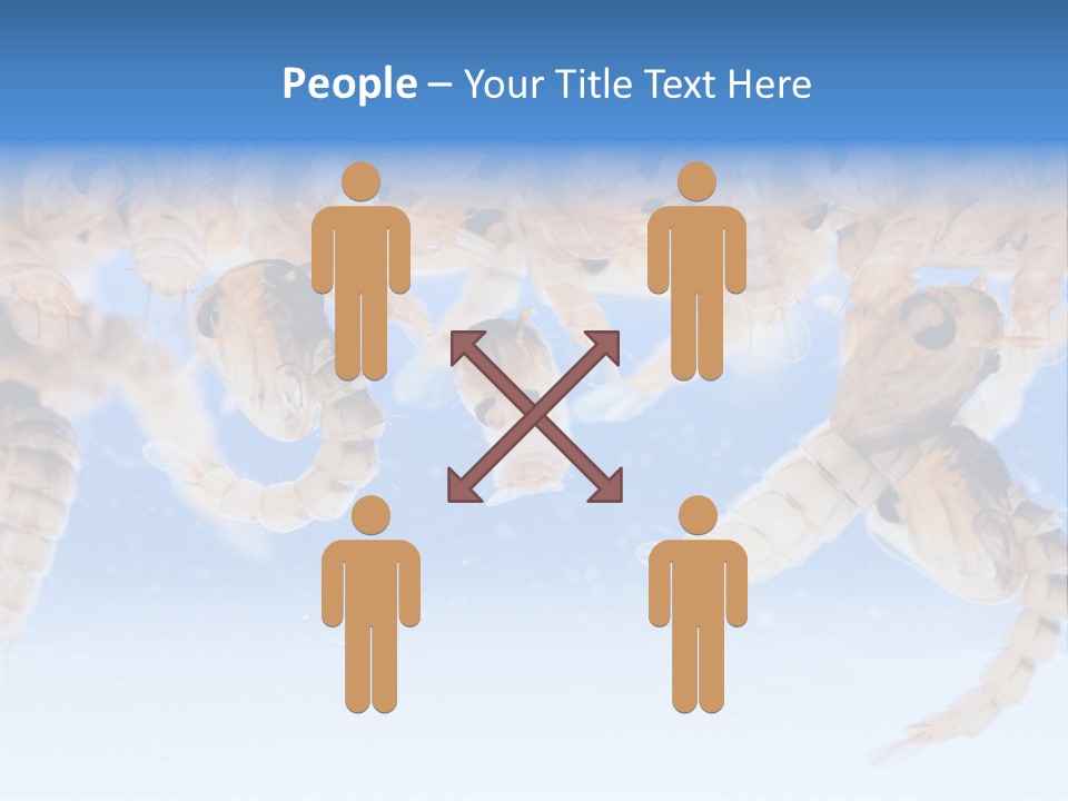 Sucking Insect Fauna PowerPoint Template