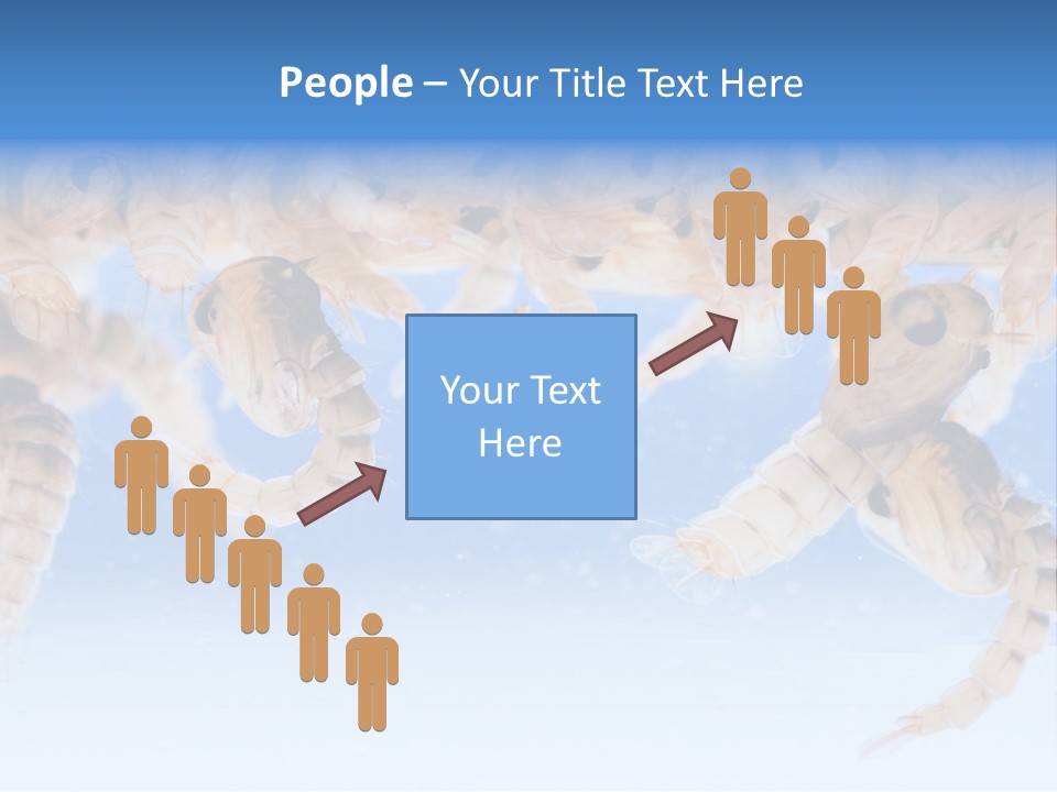 Sucking Insect Fauna PowerPoint Template