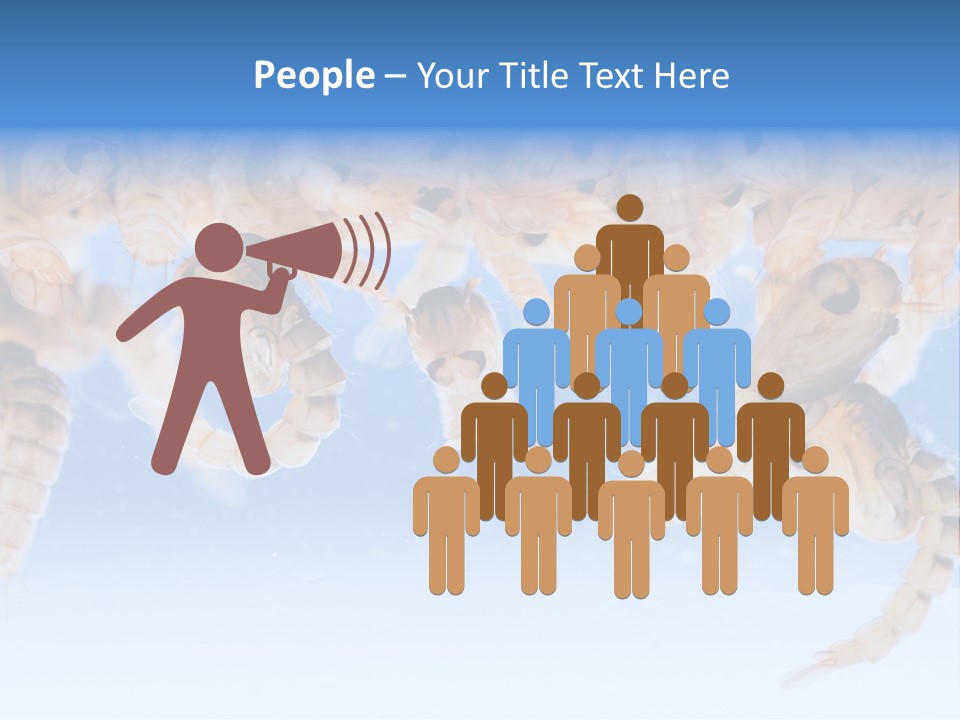 Sucking Insect Fauna PowerPoint Template