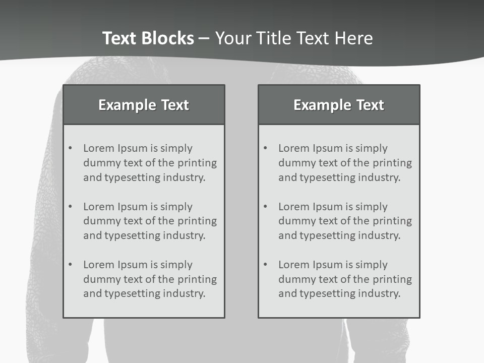 Person Burglary Robber PowerPoint Template