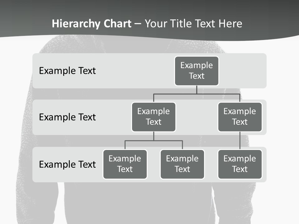Person Burglary Robber PowerPoint Template