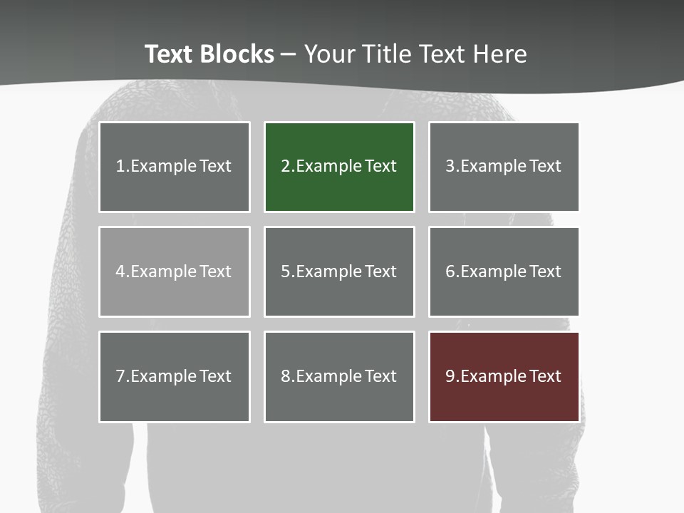 Person Burglary Robber PowerPoint Template