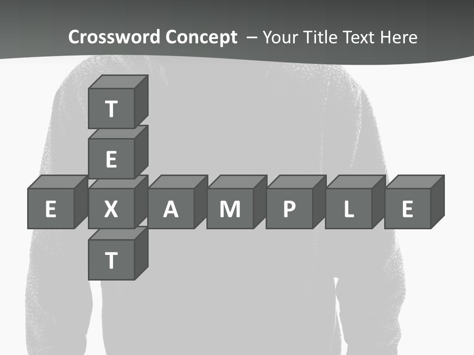 Person Burglary Robber PowerPoint Template