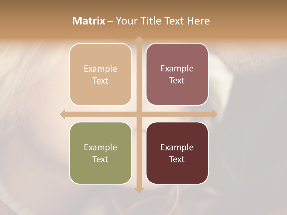 Girl Fashion Face PowerPoint Template