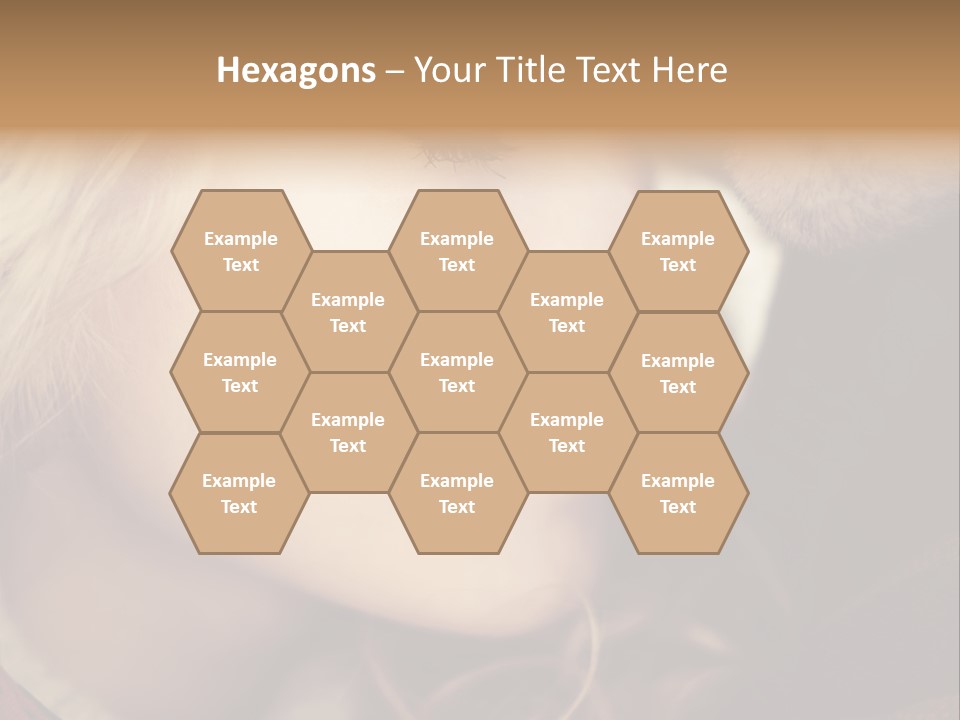 Girl Fashion Face PowerPoint Template