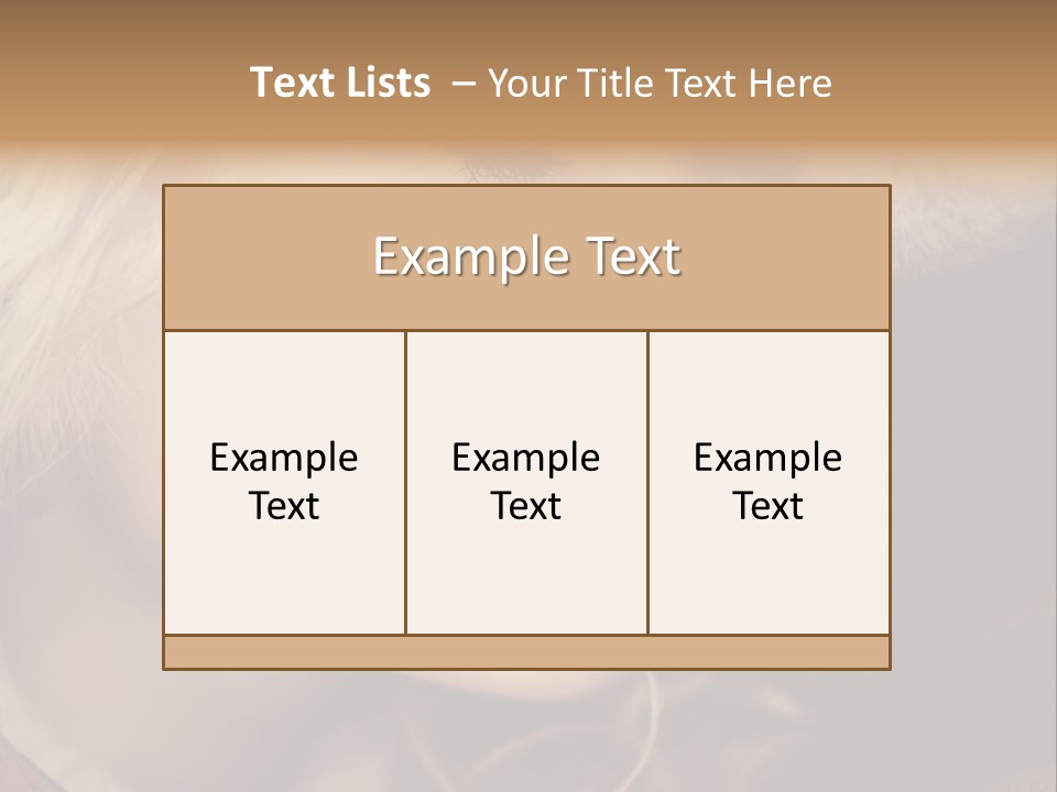 Girl Fashion Face PowerPoint Template