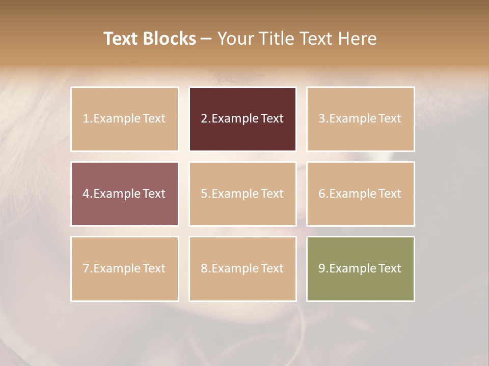 Girl Fashion Face PowerPoint Template