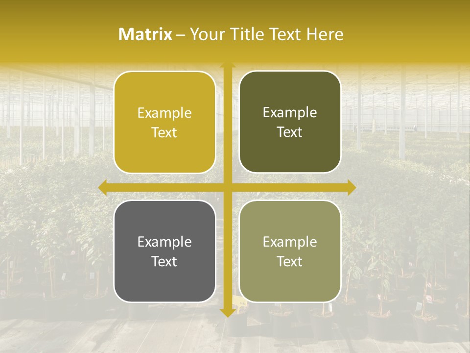 Pot Greenhouse Sepals PowerPoint Template
