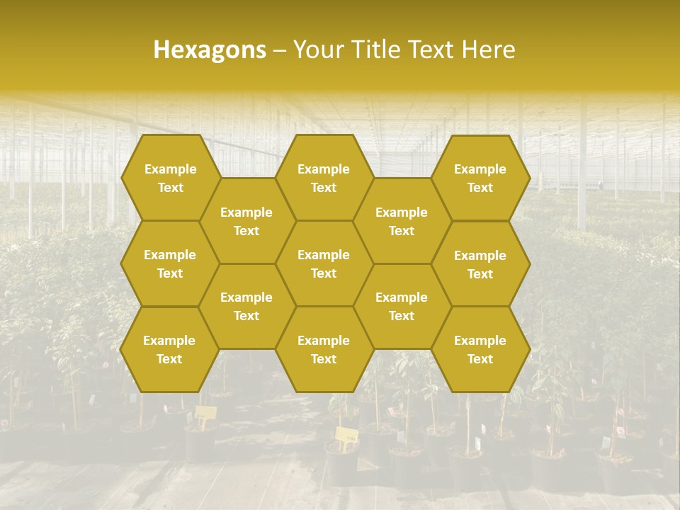 Pot Greenhouse Sepals PowerPoint Template