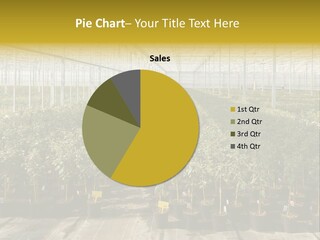 Pot Greenhouse Sepals PowerPoint Template