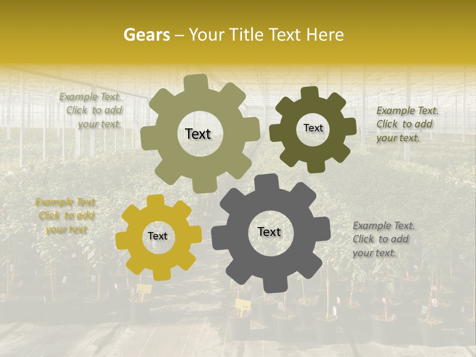 Pot Greenhouse Sepals PowerPoint Template