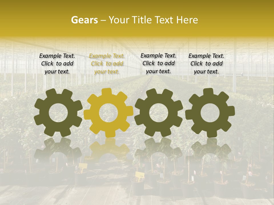 Pot Greenhouse Sepals PowerPoint Template