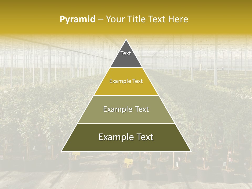 Pot Greenhouse Sepals PowerPoint Template