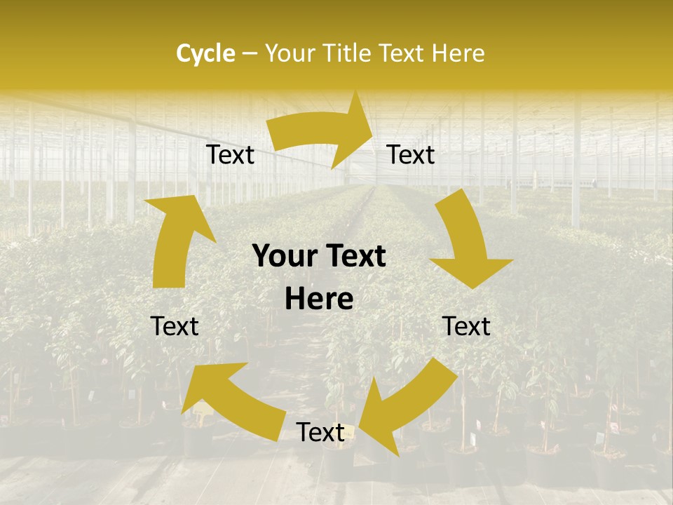 Pot Greenhouse Sepals PowerPoint Template