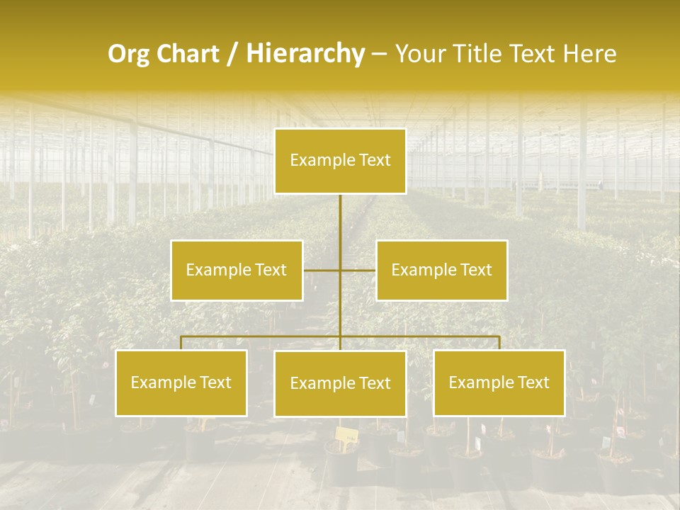 Pot Greenhouse Sepals PowerPoint Template