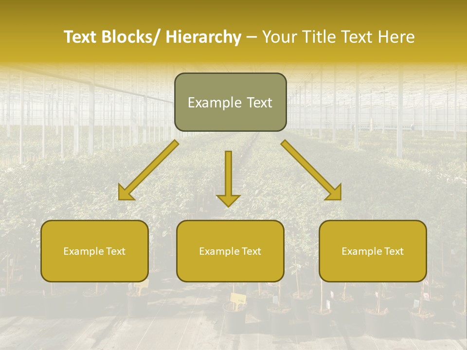 Pot Greenhouse Sepals PowerPoint Template