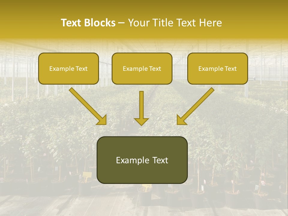 Pot Greenhouse Sepals PowerPoint Template