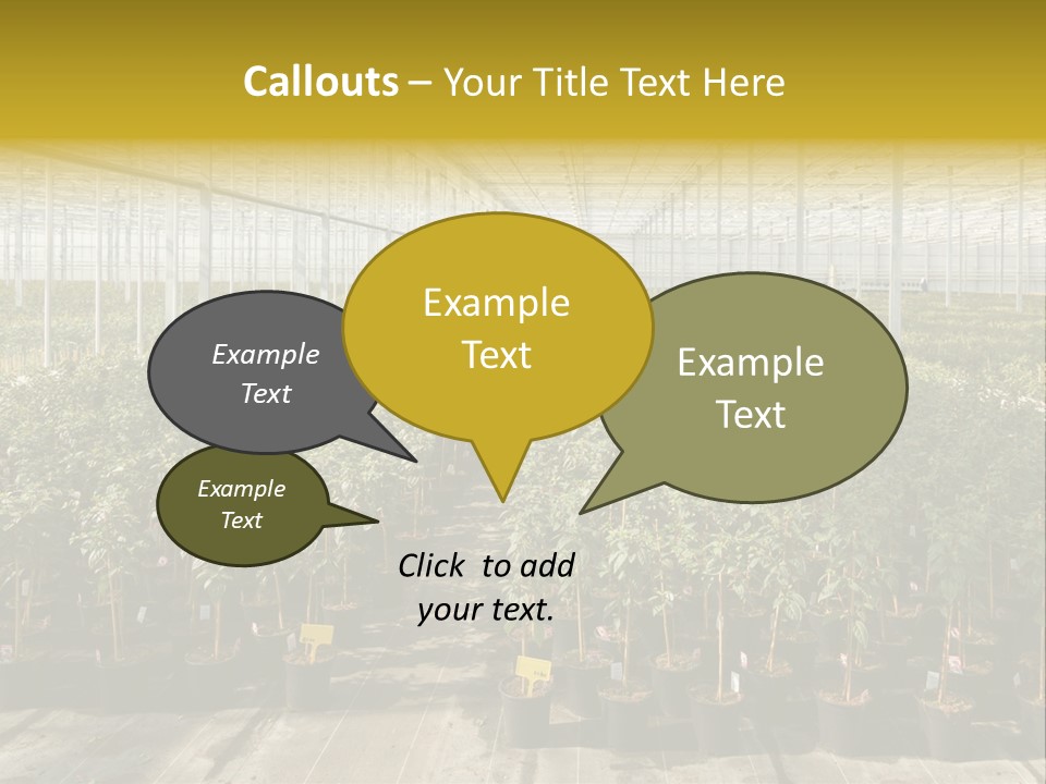 Pot Greenhouse Sepals PowerPoint Template