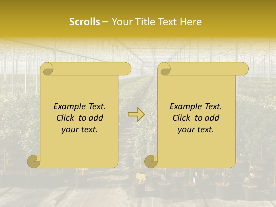 Pot Greenhouse Sepals PowerPoint Template