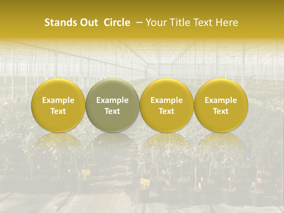 Pot Greenhouse Sepals PowerPoint Template